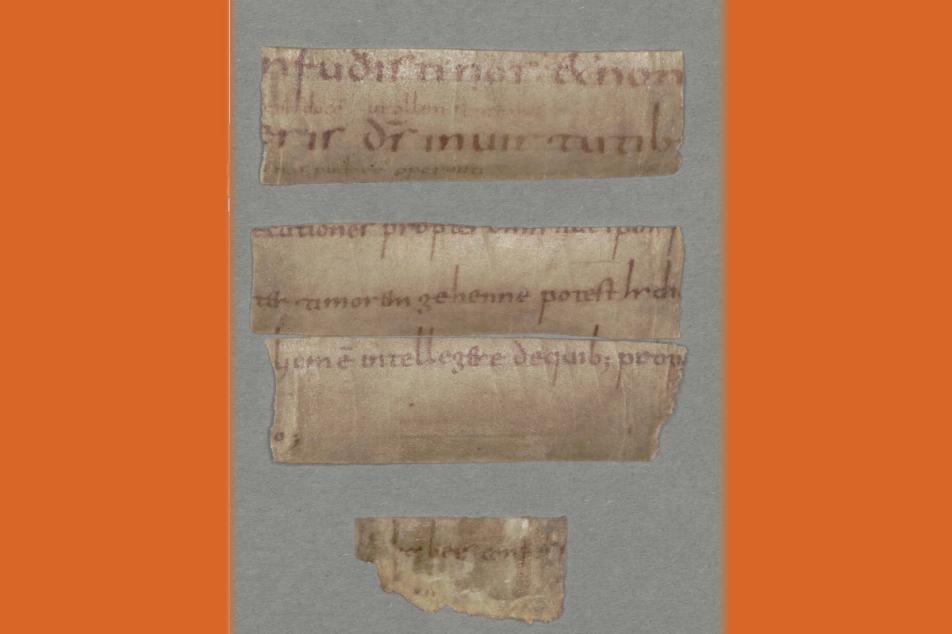 Fragments of a Salzburg Psalter from the 8th century. Photo: MGH/Ingo Seufert